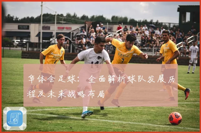 华体会足球：全面解析球队发展历程及未来战略布局