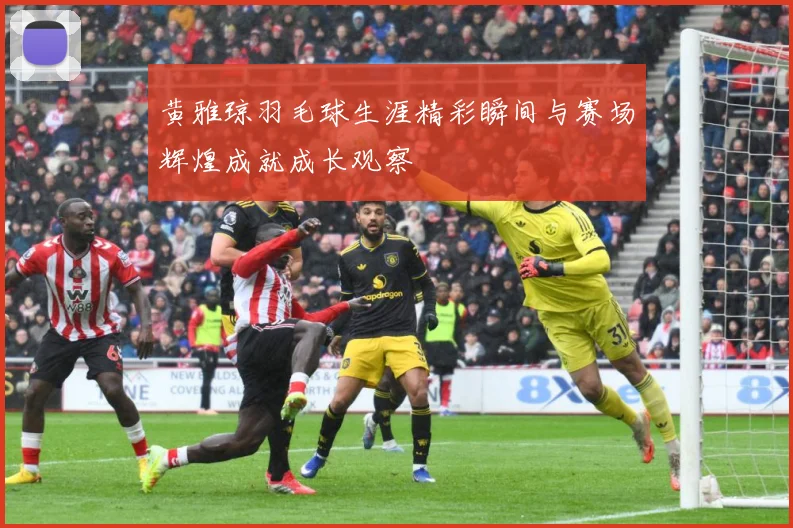 黄雅琼羽毛球生涯精彩瞬间与赛场辉煌成就成长观察