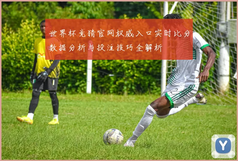世界杯竞猜官网权威入口实时比分数据分析与投注技巧全解析
